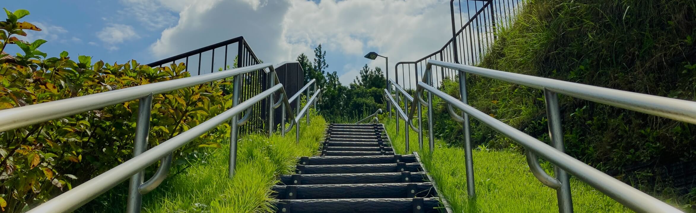 公園散策マップ