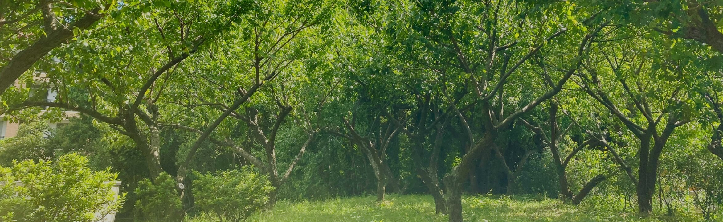 分区分利用規約