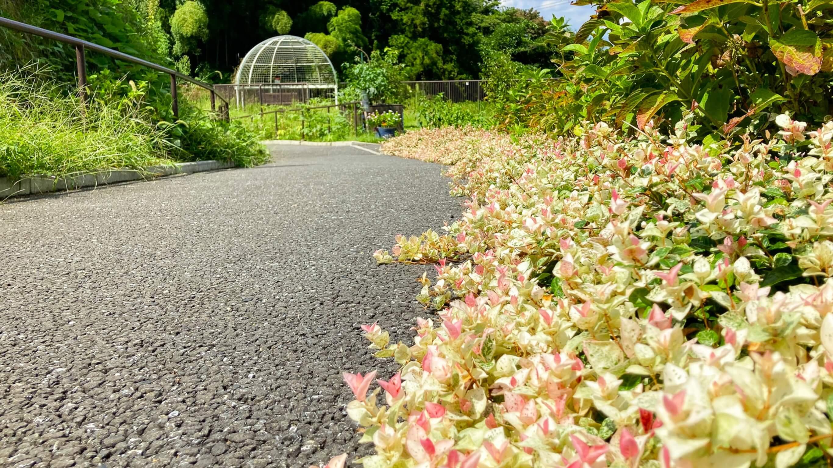 岡津町ふれあい公園