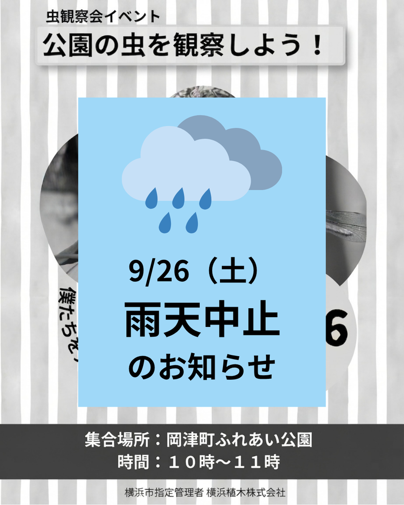 9/26（土）「虫観察イベント」雨天中止のお知らせ